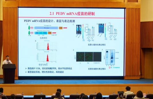 Wonderful Review | The Symposium on R & D and Industrialization of Veterinary mRNA Vaccines in Xiamen Successfully Concluded. Grateful for all the encounters, looking forward to meeting again!
